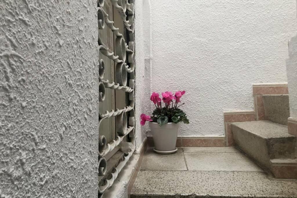 Apartamento M5 Cool Terrace. Metro 1 Min. Center 15' By Metro Esplugues de Llobregat Exterior foto